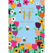Picture of ON YOUR 14TH BIRTHDAY CARD